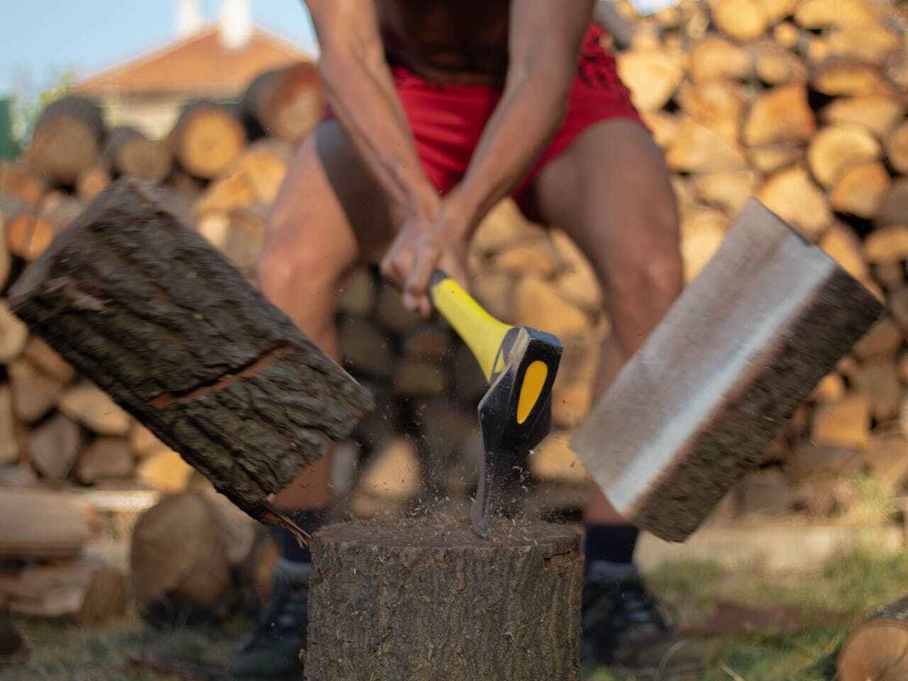 Tree Health Inspection in Muskogee, OK